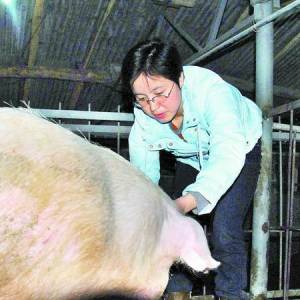 女碩士辭職回鄉(xiāng)當(dāng)“豬倌” 帶鄉(xiāng)鄰走上致富路
