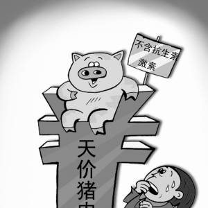 天價(jià)豬肉，誰是推手？