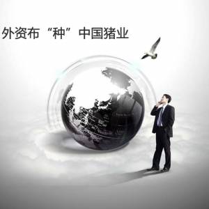 外資布“種”中國豬業(yè)