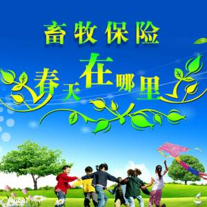 畜牧保險的春天在哪里