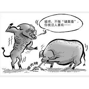 全國養(yǎng)豬業(yè)一周損失超3億