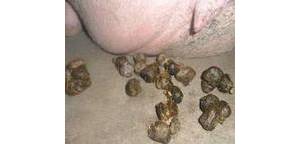 母豬便秘的生理性原因分析