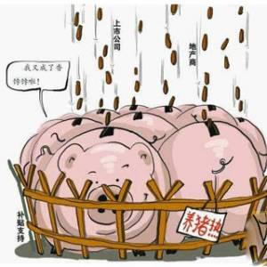 14家公司高調(diào)“養(yǎng)豬”