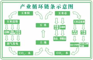 帶您走進(jìn)山東龍力生物科技股份有限公司