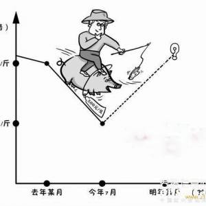 生豬價格跌近臨界　豬農(nóng)淡定應(yīng)對