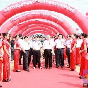 太平牧業(yè)十萬(wàn)頭種豬養(yǎng)殖生產(chǎn)線正式投產(chǎn)