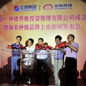 100萬(wàn)加美種豬出欄 正邦集團(tuán)強(qiáng)勢(shì)打造國(guó)內(nèi)種豬旗艦品牌