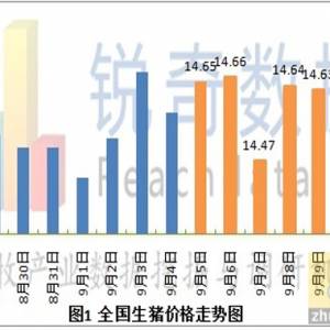 2012年9月12日豬評(píng): 生豬微弱震蕩