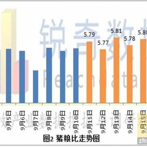 雙節(jié)有望釋放凍豬肉