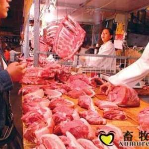官方：密切監(jiān)測生豬市場　持續(xù)發(fā)力提振豬市