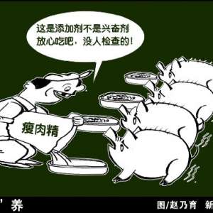 新華網(wǎng)：“瘦肉精”何以再次危及餐桌安全？
