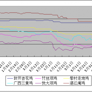 2013年上半年廣州雞蛋和家禽價格走勢及后期預(yù)測