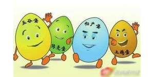 高價(jià)土雞蛋更補(bǔ)？純屬是扯淡