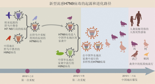 中科院公布H7N9起源及進化路徑