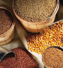 乳豬飼料的品質(zhì)控制