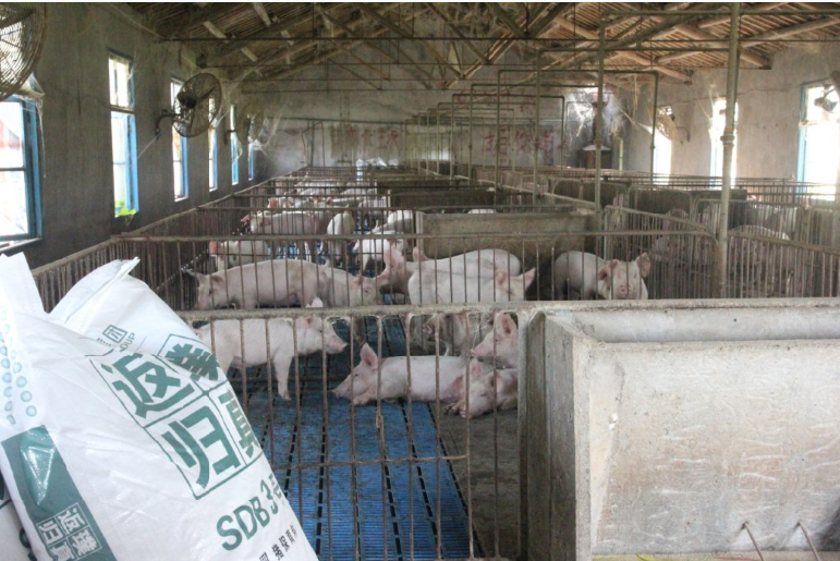 九鼎飼料長駐荊州中央儲備肉基地