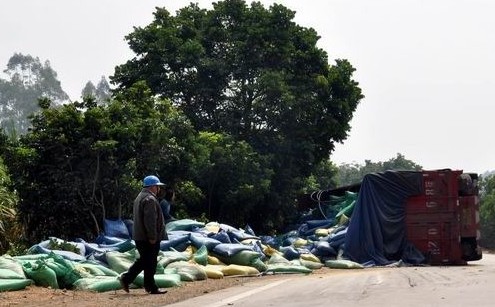 浦北一貨車側翻飼料散出 交警救助顆粒無損