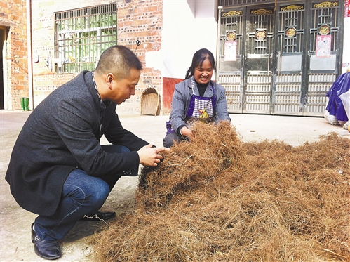 金蕎麥變成寶 蕎麥豬飼料已經(jīng)投入生產(chǎn)