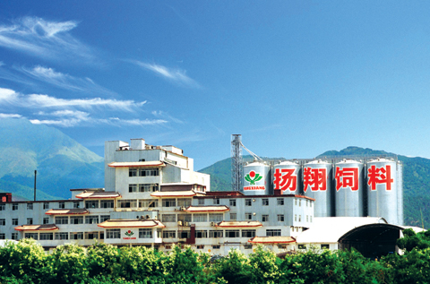廣西揚(yáng)翔回應(yīng)業(yè)界質(zhì)疑 公開喜揚(yáng)揚(yáng)“80天80斤”方案