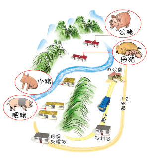 揭秘你不知道的網(wǎng)易豬：豬場懸空無臭味 臭氣用水封