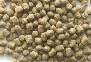 膨化飼料的優(yōu)缺點(diǎn)