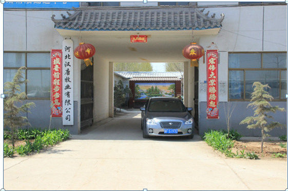 乘風(fēng)破浪會有時----漢唐牧業(yè)扎根養(yǎng)豬行業(yè)跨步向前