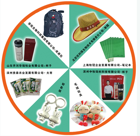 撩開神秘面紗 共揭“英美爾之謎”