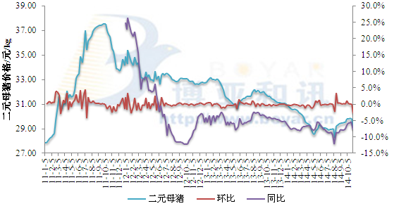 出售仔豬虧損長達一年 母豬市場有何影響？