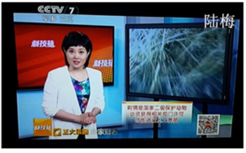 偉嘉二十華誕盛宴，園博園共襄盛舉！