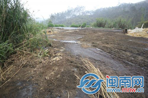 福建嚴(yán)抓畜禽環(huán)保　又一豬場(chǎng)被責(zé)令整改