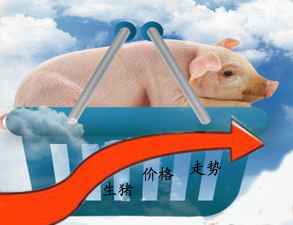 三大因素決定今年生豬價(jià)格漲勢(shì)