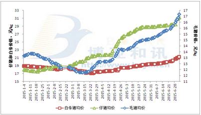 東北豬價(jià)震蕩調(diào)整，南方開啟上漲模式