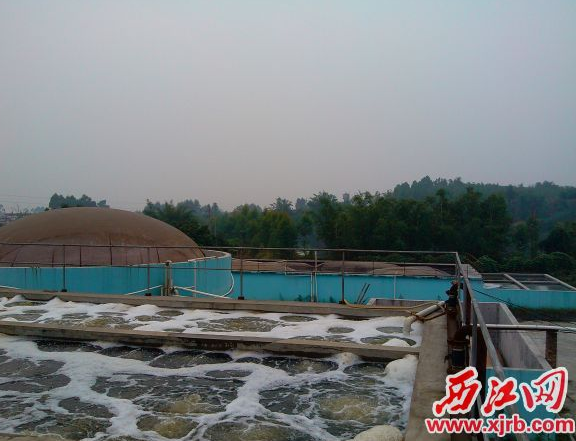 大旗嶺豬場投入250萬治污染 污水處理后能養(yǎng)魚
