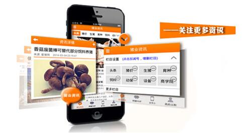 豆粒養(yǎng)豬App突破十萬用戶，感恩有你！