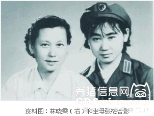 林彪長女的慘淡一生 屢遭迫害被后媽葉群發(fā)配邊疆養(yǎng)豬