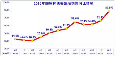 豬價屢創(chuàng)新高 去年種豬銷量增40% 今年豬多了 會掉價嗎？