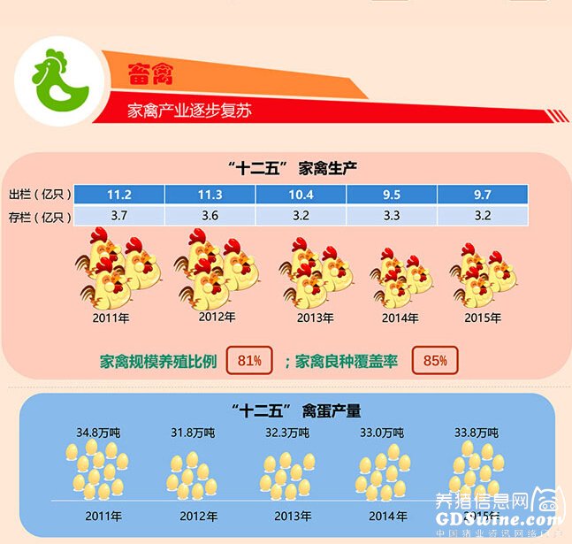 最新數(shù)據(jù)：廣東2015年萬頭豬場340家，居全國第一