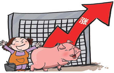 豬肉價格高位運行能持續(xù)多久