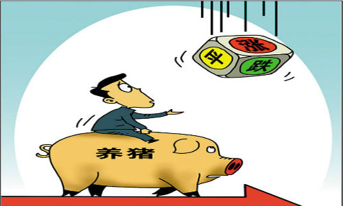 豬價(jià)短期內(nèi)下跌態(tài)勢(shì)還將延續(xù)？不要過(guò)份恐慌......