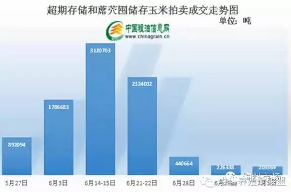 未來玉米價格將走向何方？
