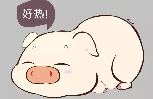 無名高熱到底是什么？干貨！養(yǎng)豬戶必看！