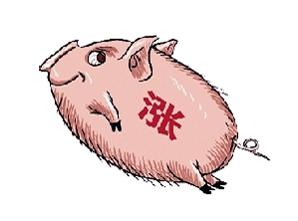 春節(jié)期間豬肉價格會長上漲嗎？豬肉價格上漲原因是什么？