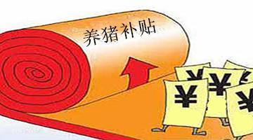 農(nóng)村養(yǎng)豬補(bǔ)貼知曉率僅6.25%?補(bǔ)貼究竟如何惠及養(yǎng)豬人
