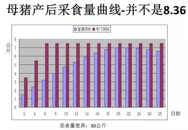 【原創(chuàng)】王統(tǒng)石：哺乳期母豬營養(yǎng)物質(zhì)轉(zhuǎn)化規(guī)律