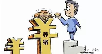 母豬產(chǎn)能連降40個月至歷史最低，2017還會是養(yǎng)豬黃金年？