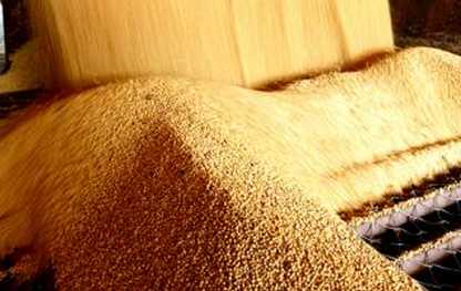 寫給飼料企業(yè)們：如何在新一年遠離超級激烈的競爭并勝出？