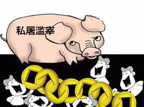 農(nóng)業(yè)部四項(xiàng)措施推進(jìn)屠宰行業(yè)管理工作
