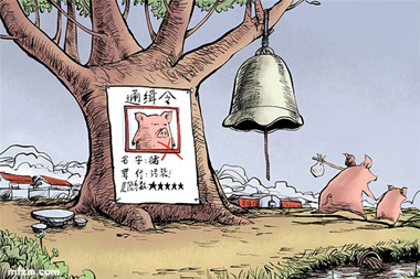 禁養(yǎng)拆豬場原來還有這門道！
