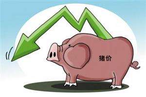 農(nóng)業(yè)部預(yù)計：明年豬價穩(wěn)中略降 整體波動不大