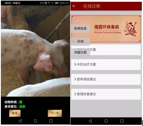 2019年智能養(yǎng)殖將進(jìn)入高速發(fā)展期，挺好科技成為先行者